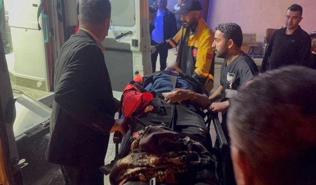 Düzensiz göçmenleri taşıyan minibüs dereye uçtu: 20 yaralı