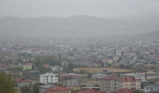 Van’da sis ve yağış hayatı olumsuz etkiledi