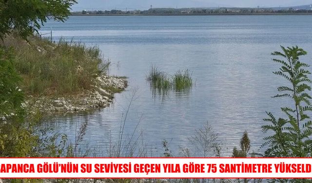 Yağışların ardından Sapanca Gölü'nde su seviyesi yükseldi