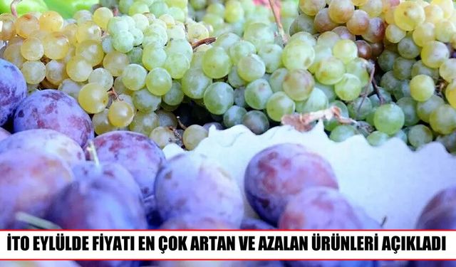 İstanbul'da eylülde fiyatı en çok artan ve azalan ürünler belli oldu