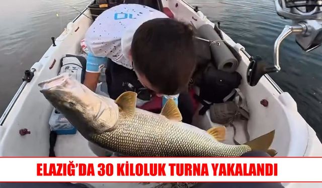 Bölge