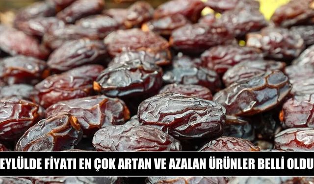 Eylülde fiyatı en çok artan ürün yükseköğretim oldu