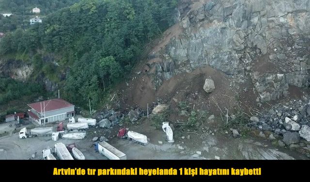 Artvin’de yamaçtan kopan kayalar can aldı