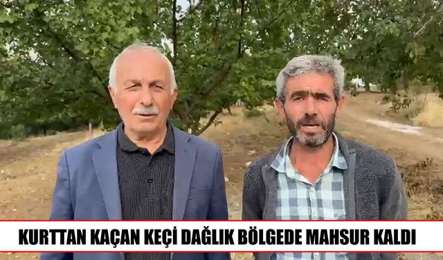 Malatya’da keçi için seferber oldular ancak kurtaramadılar
