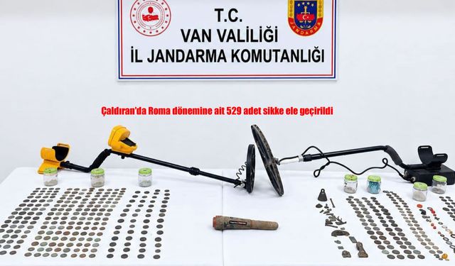 Çaldıran’da Roma dönemine ait 529 adet sikke ele geçirildi