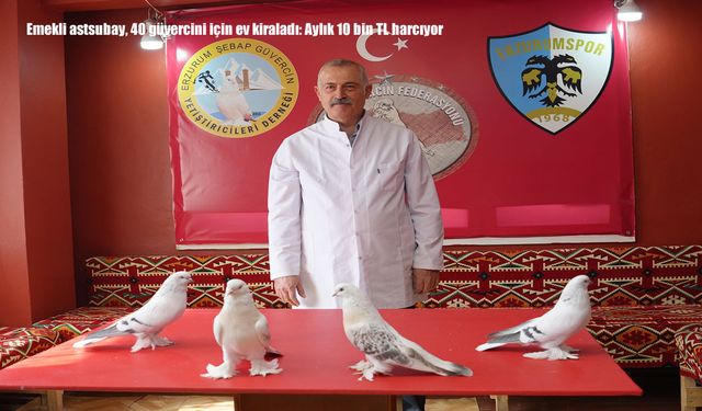 Emekli astsubay, 40 güvercini için ev kiraladı: Aylık 10 bin TL harcıyor