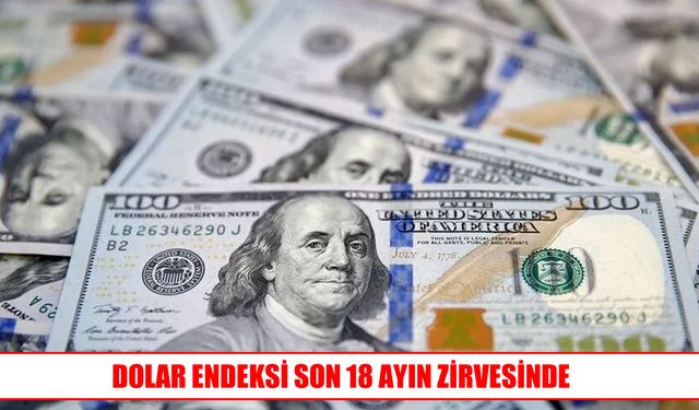 Dolar endeksinde 18 ayın en yüksek seviyesi