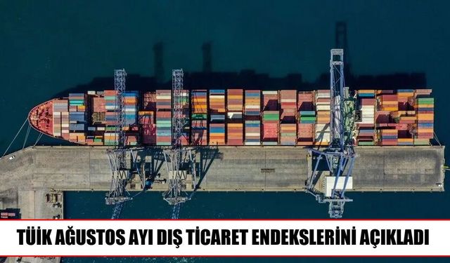 TÜİK verileri açıklandı: İthalat birim değerindeki artış daha yüksek