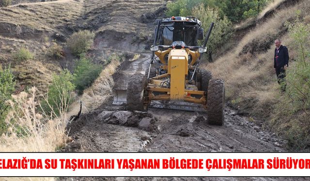 Elazığ’da taşkınların ardından ekipler sahada