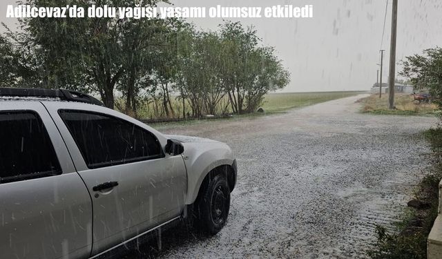 Bölge