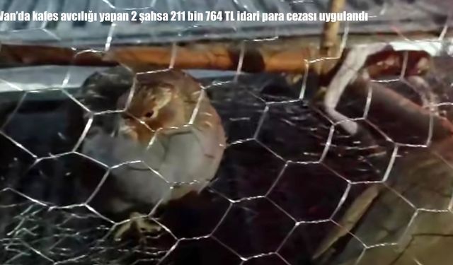 Van'da kafes avcılığı yapan 2 şahsa 211 bin 764 TL idari para cezası uygulandı