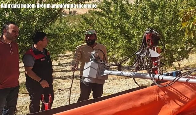 Ağın’daki badem üretim alanlarında inceleme