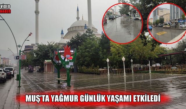Muş’ta sabah saatlerinde yağmur etkili oldu