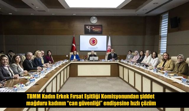 TBMM Komisyonu şiddet mağduru kadının talebini çözüme kavuşturdu