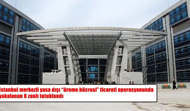 İstanbul merkezli 14 ilde yasa dışı “üreme hücresi” operasyonu: 8 tutuklama