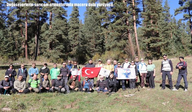 Doğaseverlerin sarıçam ormanlarında macera dolu yürüyüşü