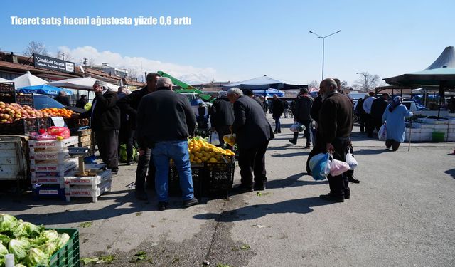 Ticaret satış hacmi ağustosta yüzde 0,6 arttı