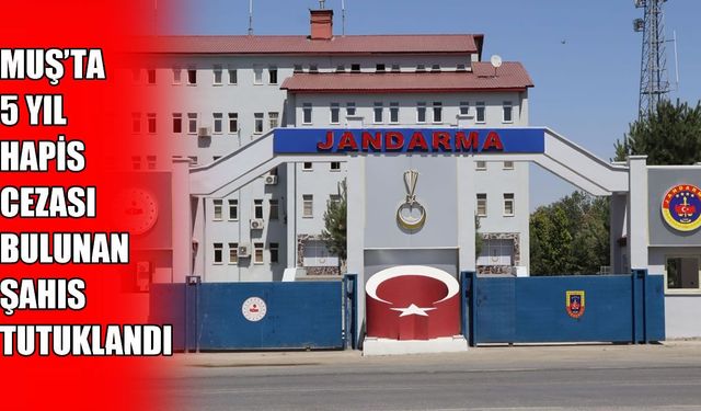 Muş'ta 5 yıl hapis cezası bulunan firari şahıs yakalandı