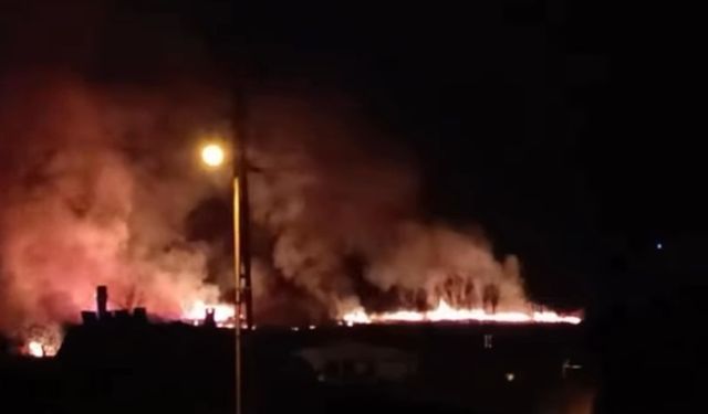 Van'da sazlık alanda yangın  