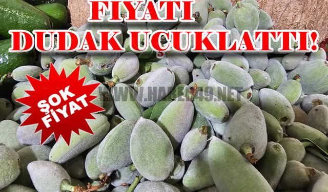 Muş'ta çağla badem fiyatı cep yakıyor