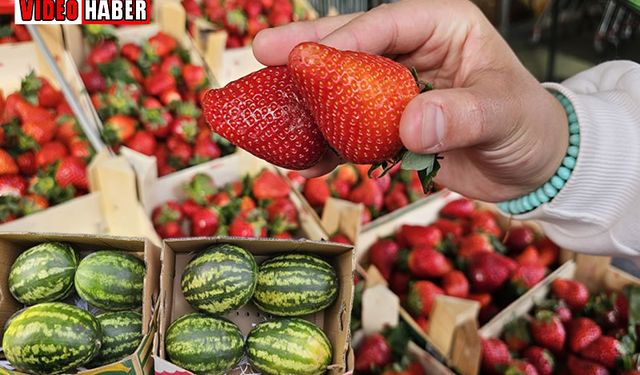 Muş’ta yaz gelmeden karpuz ve çilek tezgahlarda yerini aldı