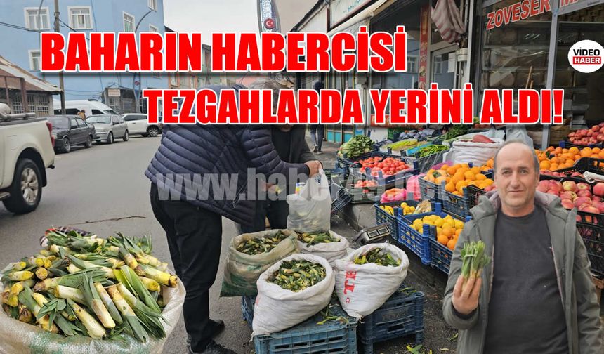 Muş’ta gülbahar bitkisi tezgâhlarda yerini aldı