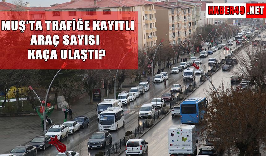 Muş’ta trafiğe kayıtlı araç sayısı belli oldu