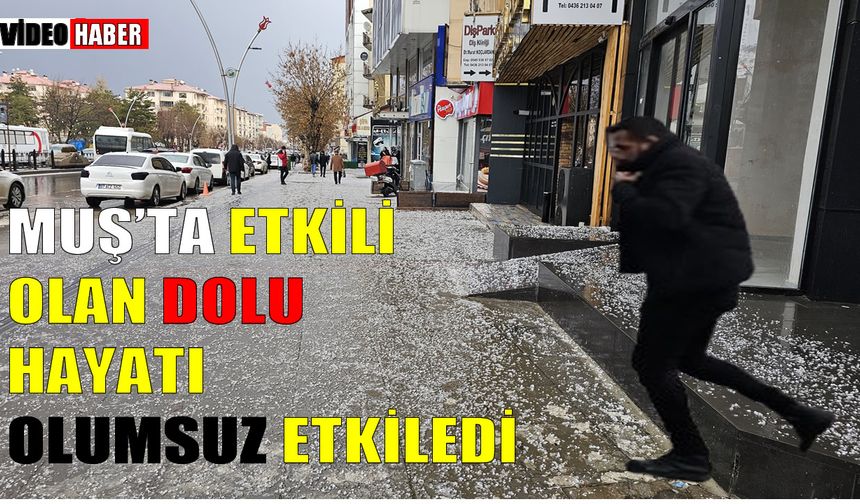 Muş’ta Mart Ayı'nın sonunda dolu sürprizi
