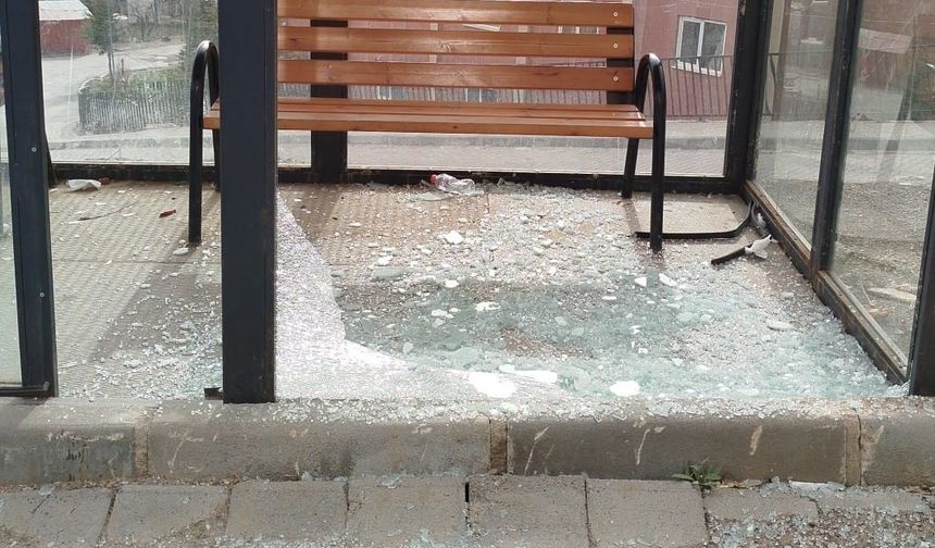 Hakkâri’de kamu malına saldırı: Parklar ve duraklar hedefte