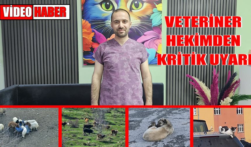 Muş’ta veteriner hekim uyardı: Mevsim geçişleri hayvanları da etkiliyor!