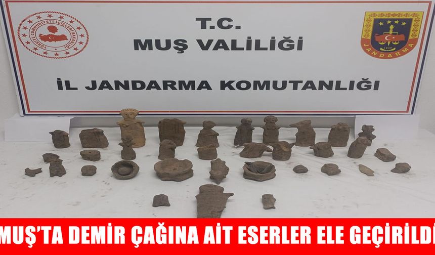 Muş’ta Demir Çağı’na ait 42 parça tarihi eser ele geçirildi