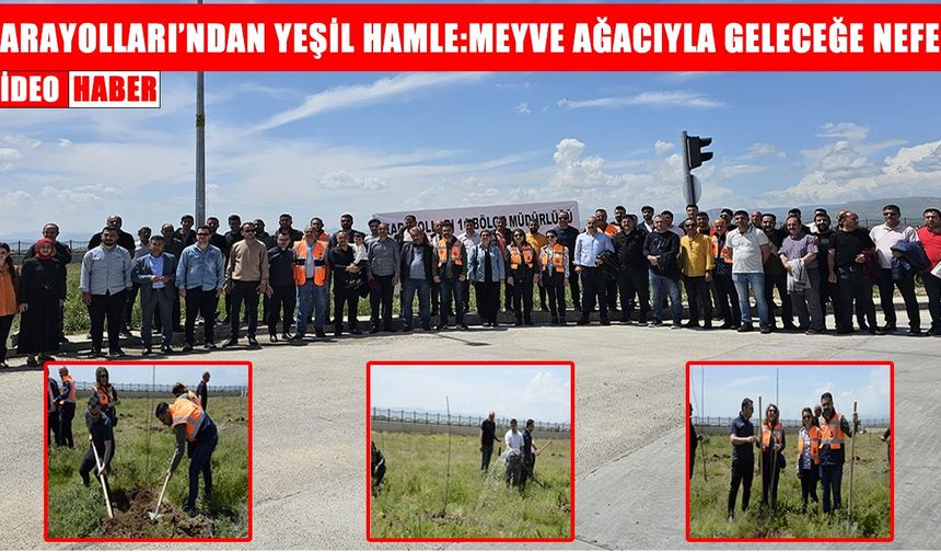 Muş’ta 300 meyve ağacı toprakla buluştu