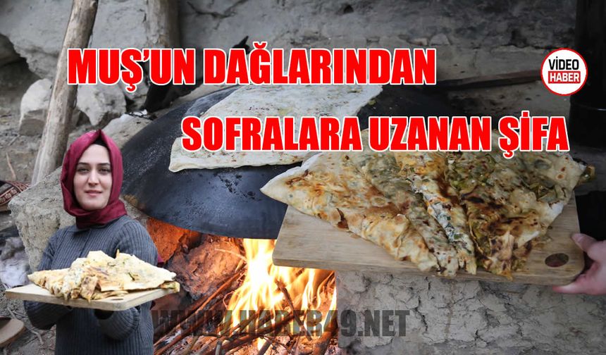 Taştan’dan Muş’un unutulmaz lezzeti gulikli gözleme tarifi