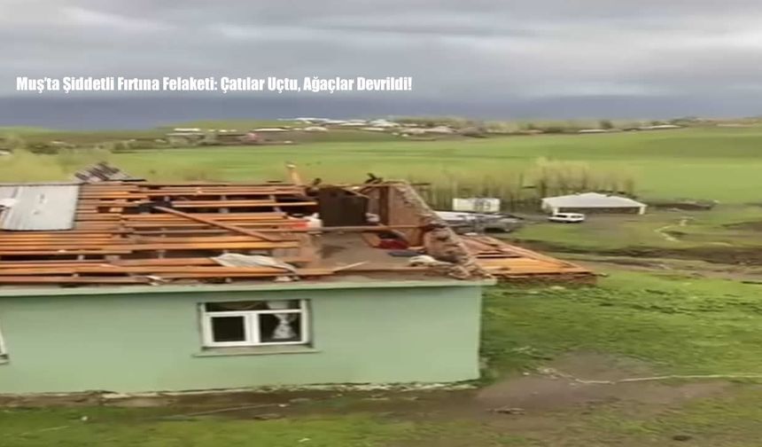 Muş’ta şiddetli fırtına felaketi: çatılar uçtu, ağaçlar devrildi!