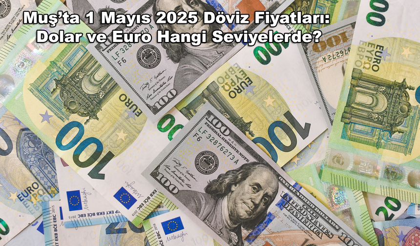 Muş’ta 1 Mayıs 2025 Döviz Fiyatları: Dolar ve Euro Hangi Seviyelerde?