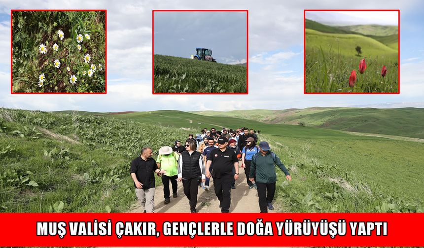 Muş'ta '7. Lale Festivali' kapsamında doğa yürüyüşü düzenlendi