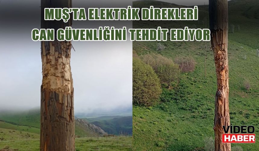 Varto'da köylüler endişeli: Elektrik direkleri can güvenliğini tehdit ediyor