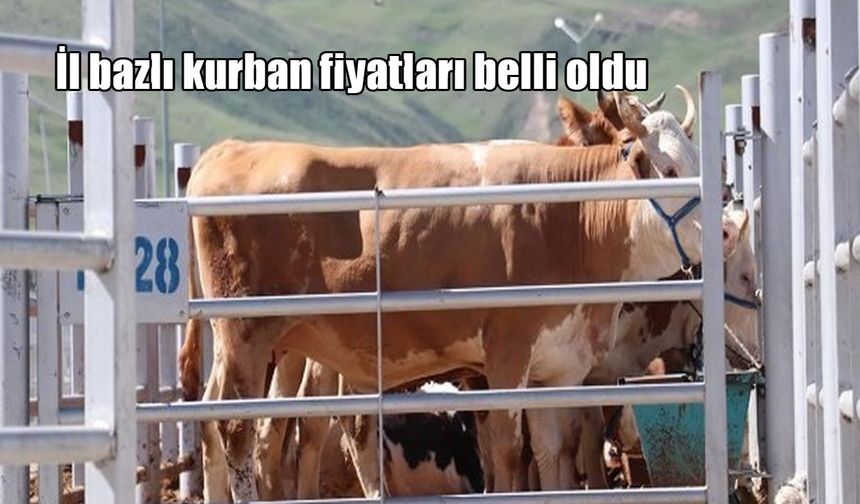 2025 kurbanlık fiyatları açıklandı: İl il büyükbaş ve küçükbaş bedelleri