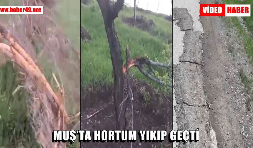 Varto’da hortum felaketi: “Böyle bir şeyi daha önce hiç görmedik”