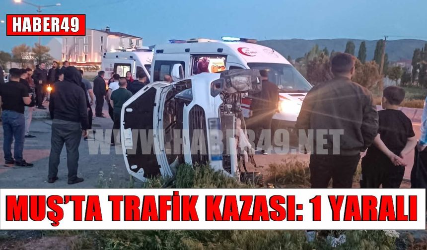 Hasköy’de köpeğe çarpmamak için manevra yapan araç şarampole yuvarlandı
