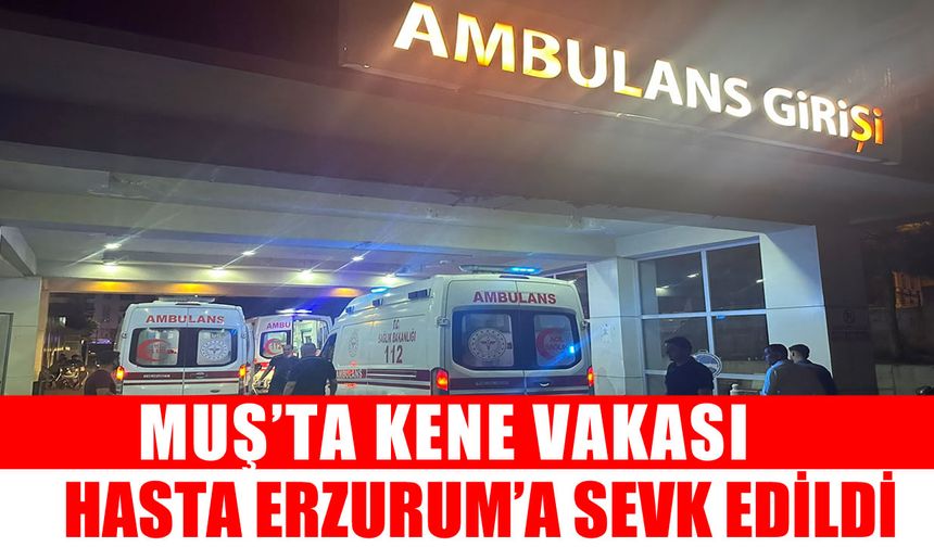 Muş’ta kene paniği: 1 kişi Erzurum’a sevk edildi