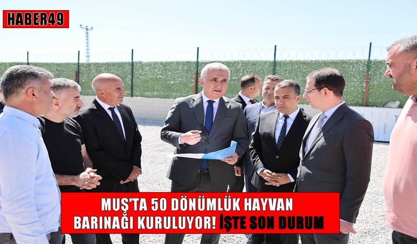 Muş’ta ‘Hayvan Barınağı ve Doğal Yaşam Alanı Projesi’nde sona gelindi