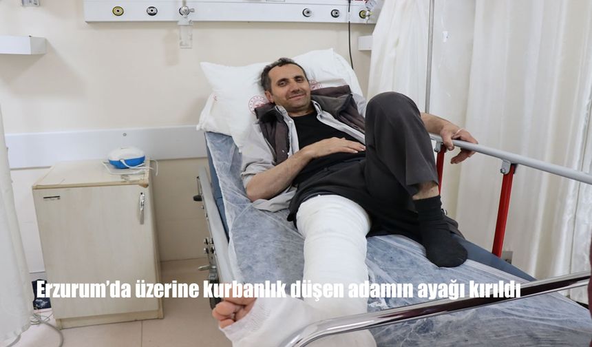 Erzurum Oltu’da Kurban Kesiminde 14 Acemi Kasap Yaralandı, Bir Kişinin Ayağı Kırıldı