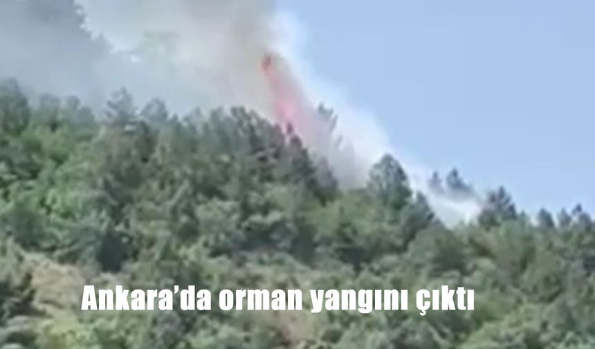 Soğuksu Milli Parkı’nda Orman Yangını Paniği: Ekipler Seferber Oldu