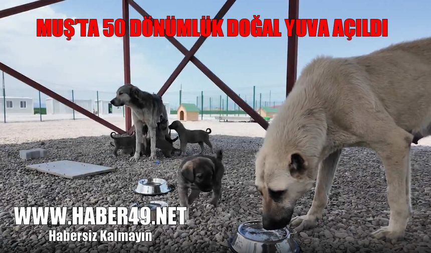 Muş’ta hayvanlar için örnek proje: Doğal yaşam alanı açıldı