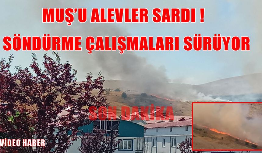 Muş Bayrak Tepe'de anız yangını!