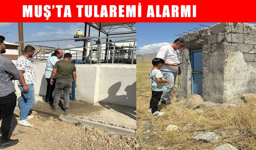 Muş’ta 'Tularemi' endişesi: Sağlık Müdürlüğü ekipleri çalışmalara başladı