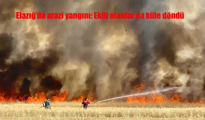Elazığ Yazıkonak'ta Korkutan Arazi Yangını: Hububat Tarlaları Kül Oldu