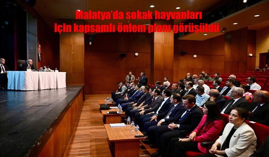 Malatya’da sokak hayvanları için kapsamlı önlem planı görüşüldü