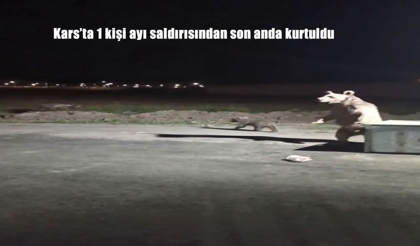 Kars’ta Balkondan Ayı Saldırısından Son Anda Kurtuldu! Dehşet Anları Kamerada